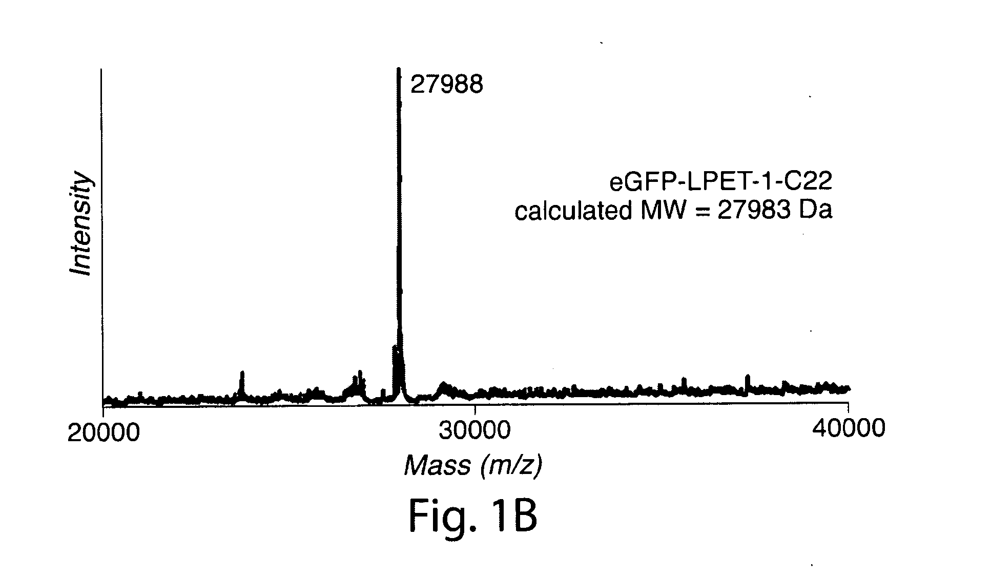 Methods for ligation and uses thereof