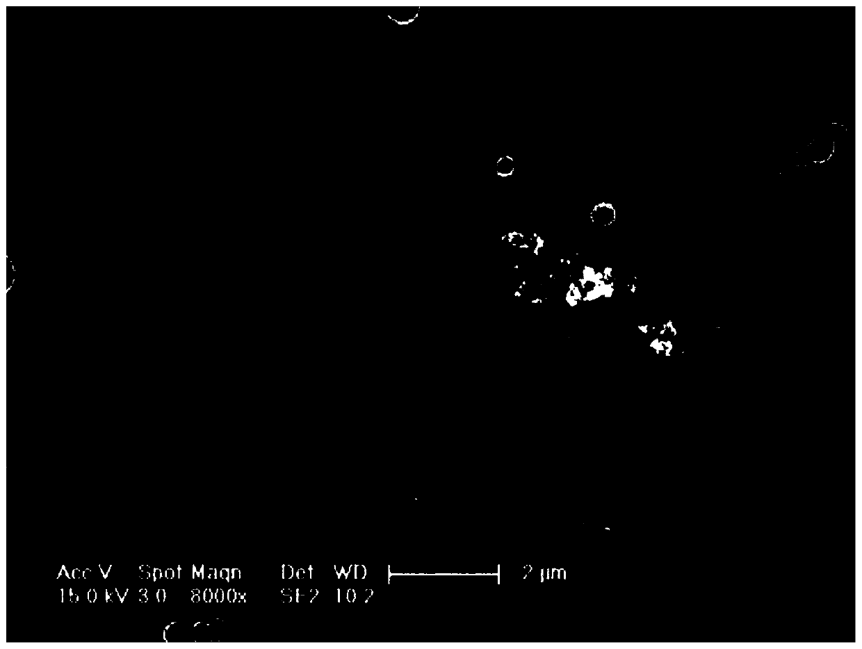 Antibacterial coating with pH monitoring function, functional material of antibacterial coating with pH monitoring function and preparation method thereof