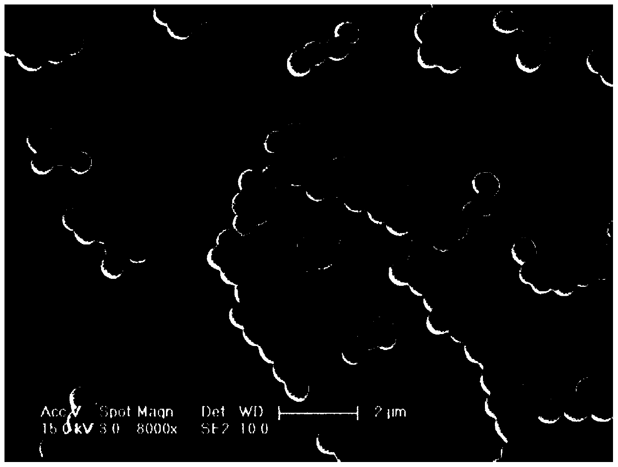 Antibacterial coating with pH monitoring function, functional material of antibacterial coating with pH monitoring function and preparation method thereof