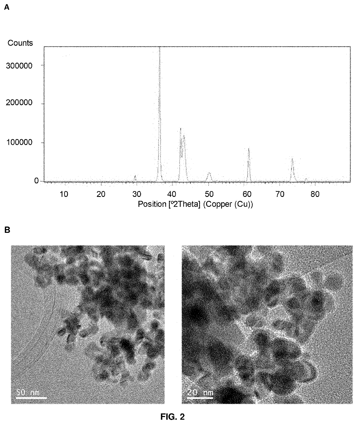 Hybrid material comprising a protein matrix and copper nanoparticles therein, process for preparing the same and use thereof