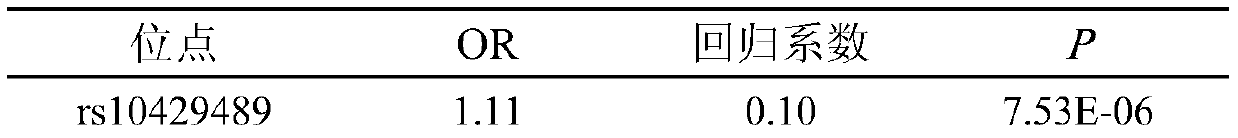 SNP marker for assisting in diagnosing non-small cell lung cancer and application thereof