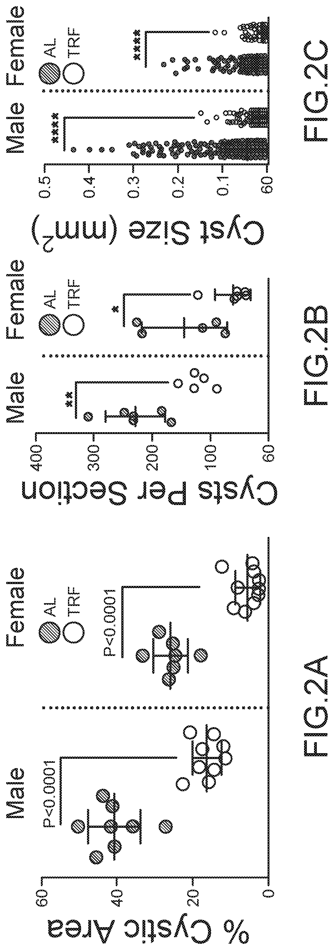 Methods and Compositions for Supporting Renal Health