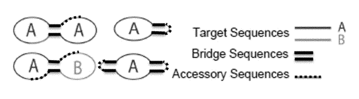 Target reporter constructs and uses thereof