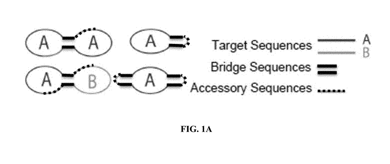 Target reporter constructs and uses thereof