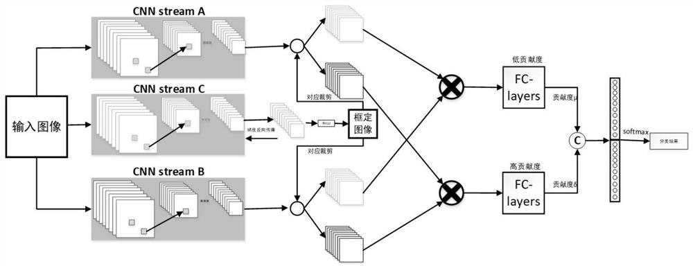 Rapid identification method based on fine-grained image classification