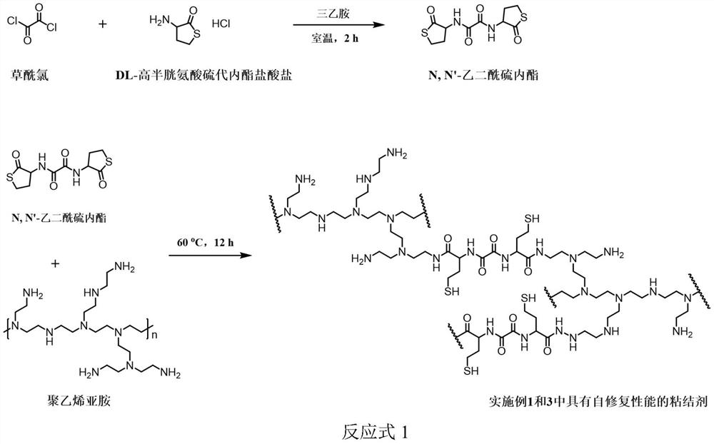 Preparation method and application of lithium battery binder with self-repairing performance