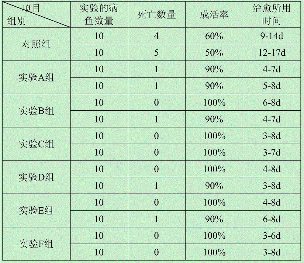 Tincture for treating epinephelus akaara ulcer disease and preparation method thereof