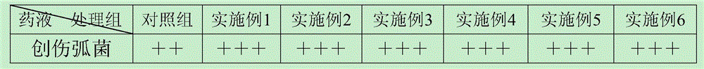 Tincture for treating epinephelus akaara ulcer disease and preparation method thereof