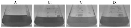 Application of slr0681 gene in synthesis of synechocystis carotene