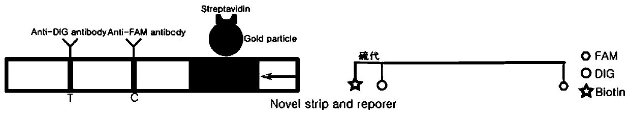 Detection method based on CRISPR/Cas and nucleic acid test paper and human papilloma virus detection kit