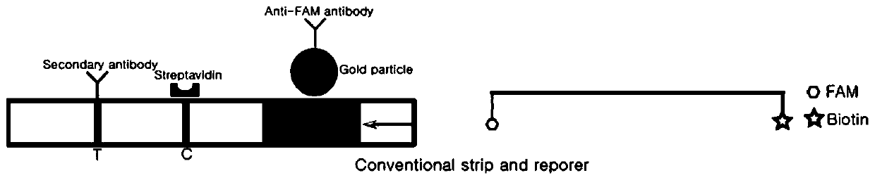 Detection method based on CRISPR/Cas and nucleic acid test paper and human papilloma virus detection kit