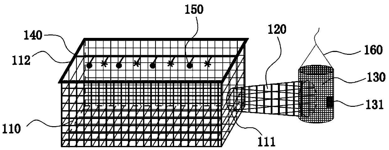 A method for trapping seedlings and cultivating macular basketfish