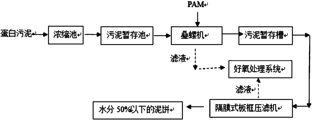 Protein sludge deep dehydration method