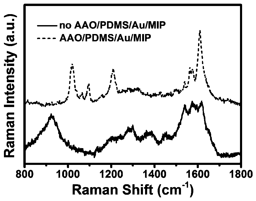 Fabrication method of flexible sers substrate and its application for specific detection of pat