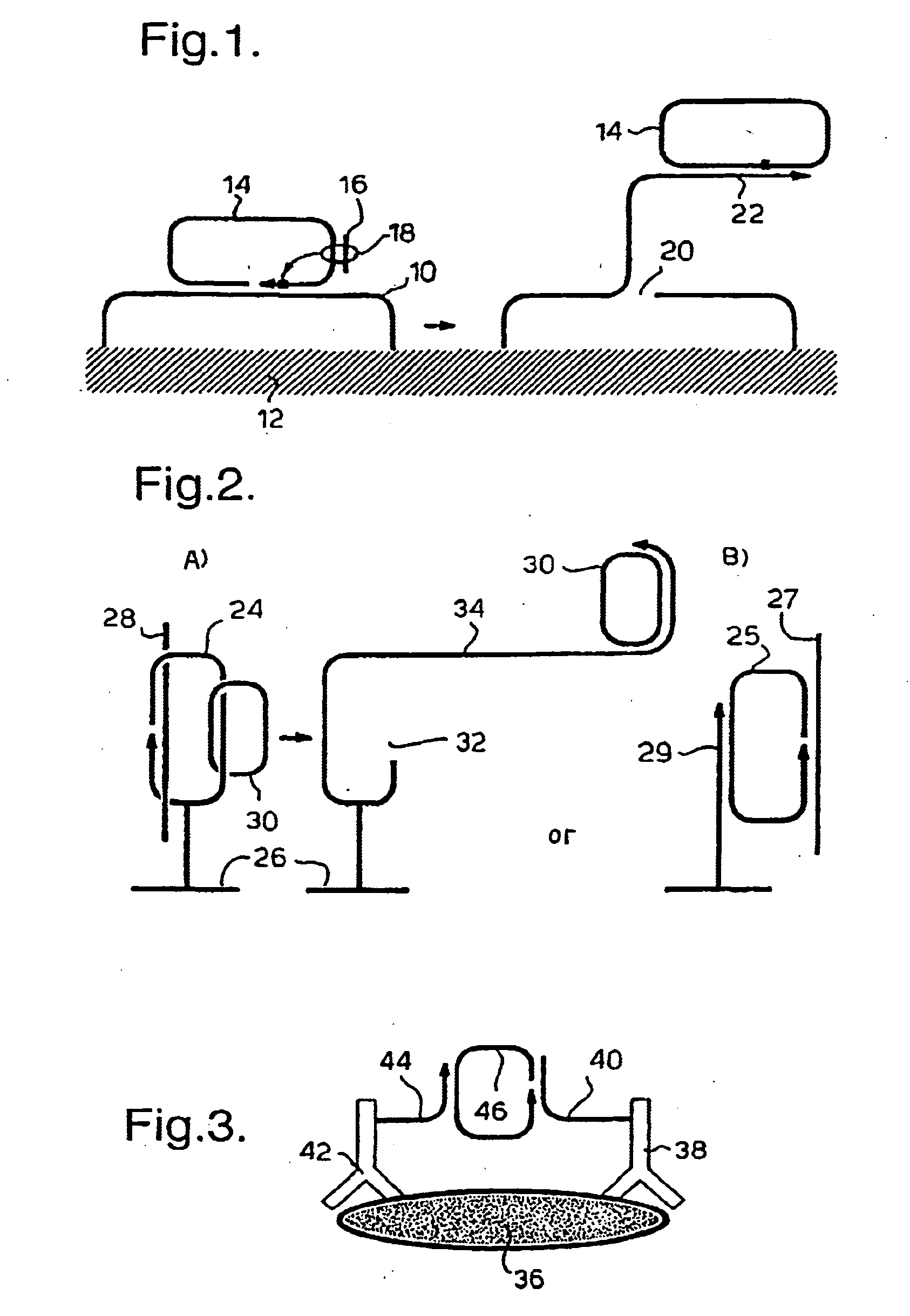 Rolling circle replication of padlock probes