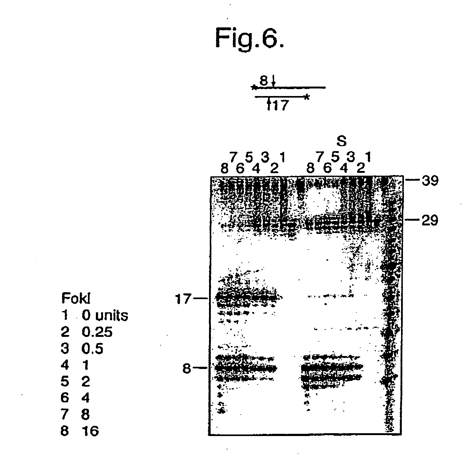 Rolling circle replication of padlock probes