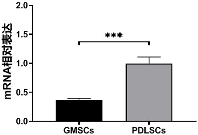 Kit and method for identifying periodontal ligament stem cells