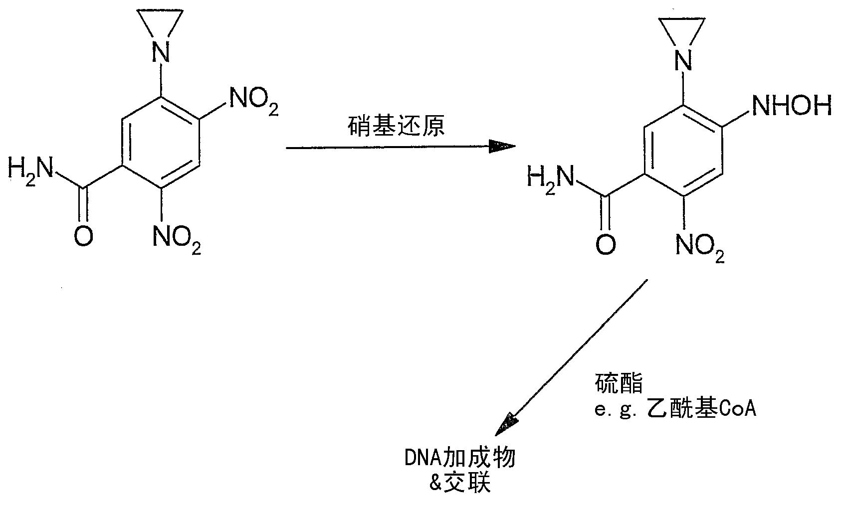 Use of alpha-hydroxy carbonyl compounds as reducing agents