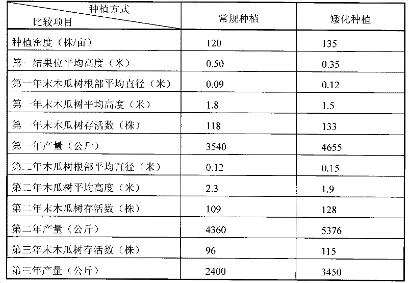 Papaya dwarfing planting method