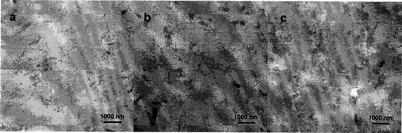 Polyimide/rod-like clay nano-composite film and preparation method thereof