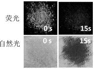 Triphenylamine derivative, preparation method and application thereof, and preparation method of triphenylamine derivative doped film