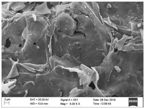 Microbial fuel cell anode biochar composite material and preparation method thereof