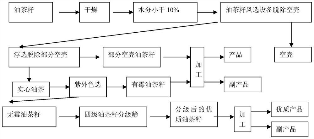 A kind of processing technology of Camellia oleifera seed selection