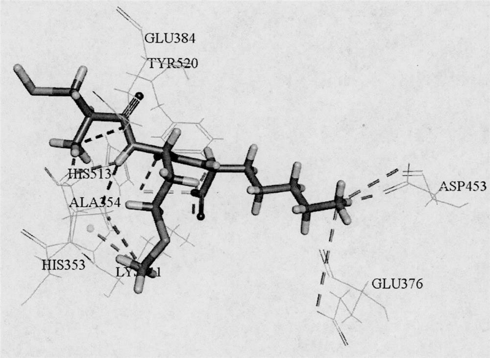 Tripeptides with ace inhibitory activity and applications thereof