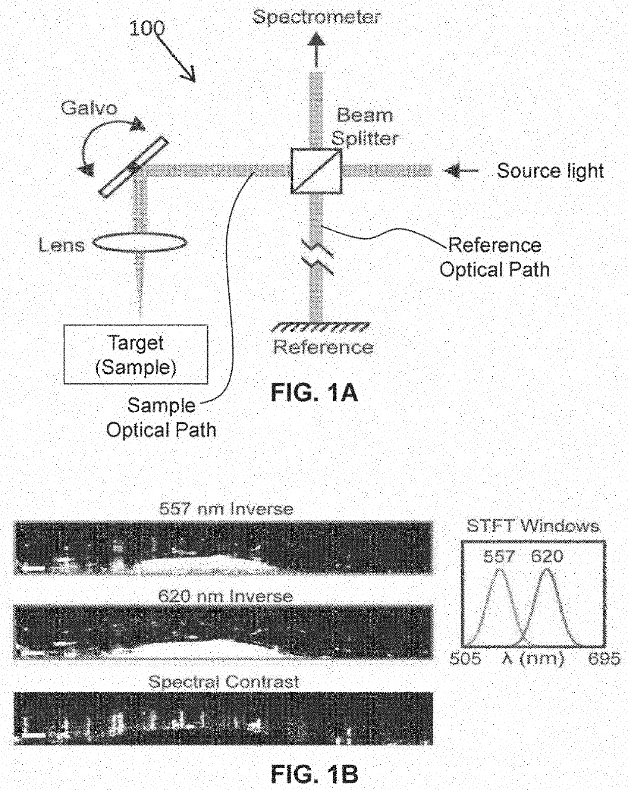 Spectral contrast optical coherence tomography angiography