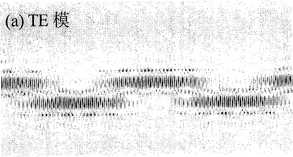 Two-dimensional complete band gap photon crystal and depolarization beam splitter