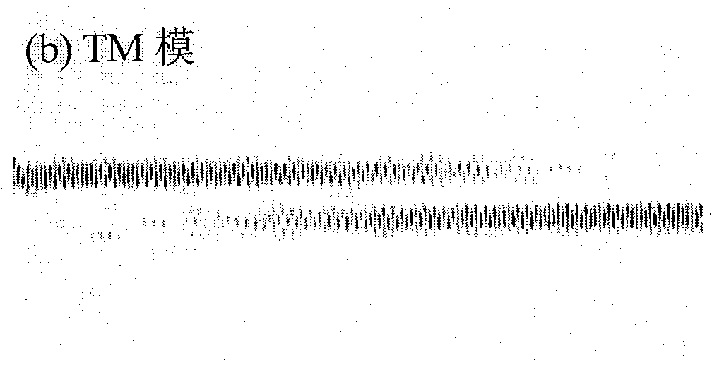 Two-dimensional complete band gap photon crystal and depolarization beam splitter