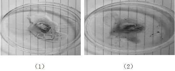 A kind of method that utilizes solid waste to prepare tree whitening agent