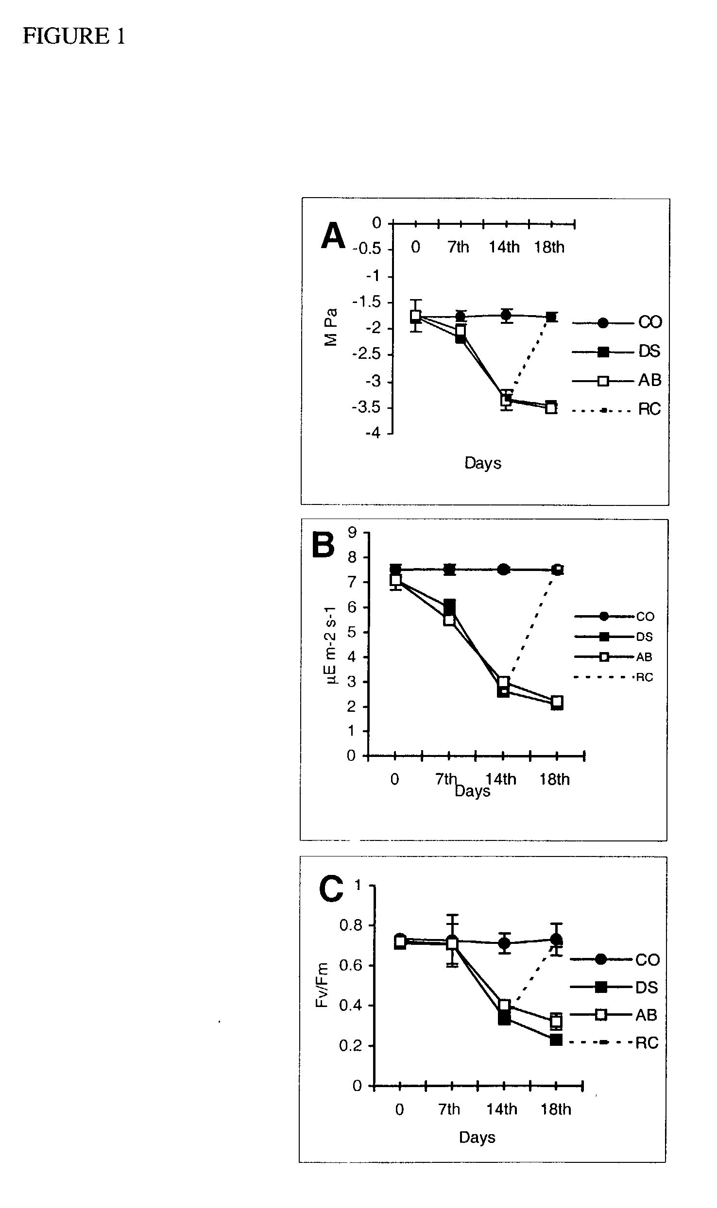 Novel genes from drought stress tolerant tea plant and a method of introducing water-stress tolerance