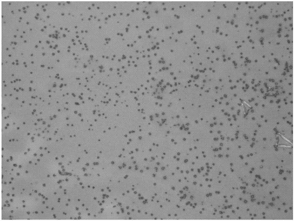 Zirconium oxide inkjet printing ink as well as preparation method and application thereof