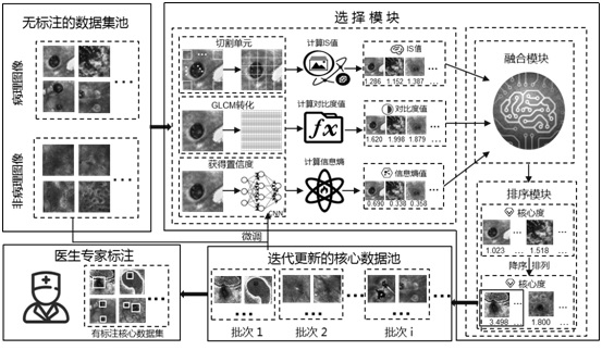 Lesion localization core data extraction method, system, electronic equipment and storage medium