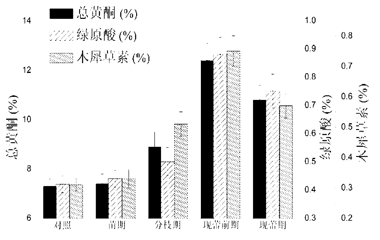 Processing method capable of improving medicinal component content of Hangzhou white chrysanthemums