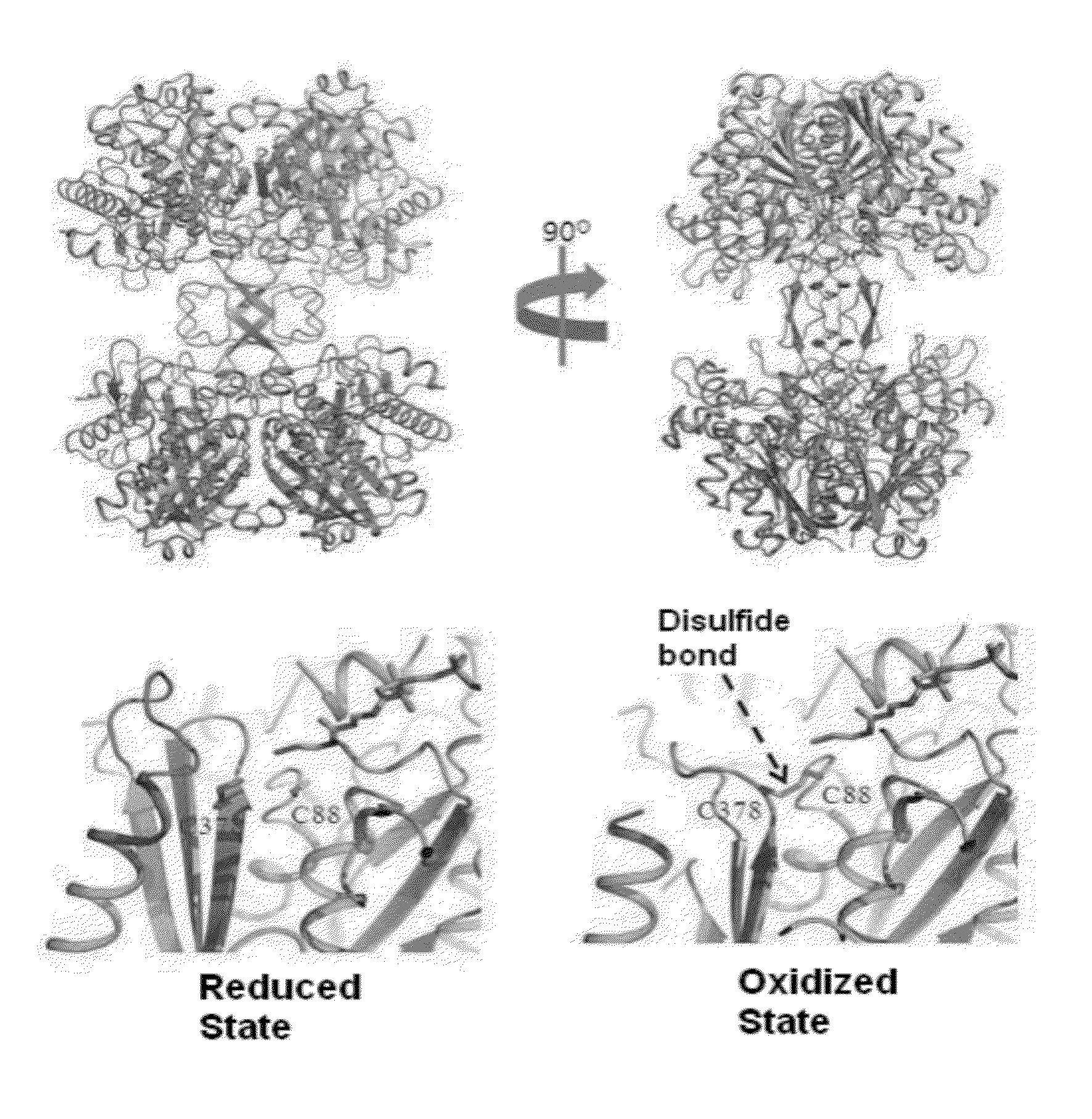 Thiolase with Improved Activity and Method of Producing Biobutanol Using the Same