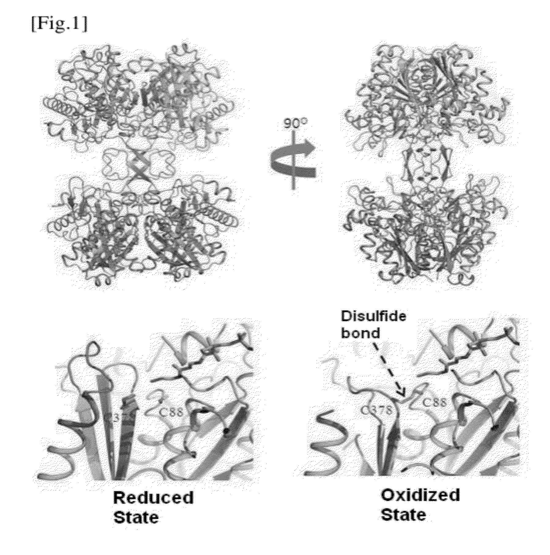 Thiolase with Improved Activity and Method of Producing Biobutanol Using the Same