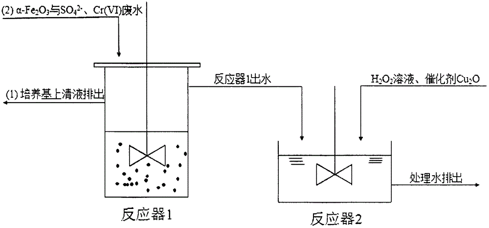 Method of removing sulfate radical and hexavalent chromium from industrial waste water through sulfate reducting bacteria activated sludge-[alpha]-Fe2O3 coupling process