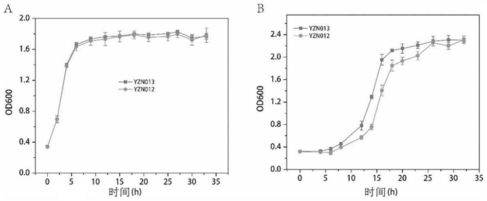 Yeast with high tolerance to inhibitors derived from lignocellulosic biomass and construction method thereof