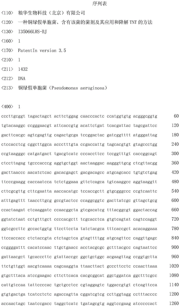 Pseudomonas aeruginosa and inoculant containing Pseudomonas aeruginosa, application thereof, and TNT degradation method