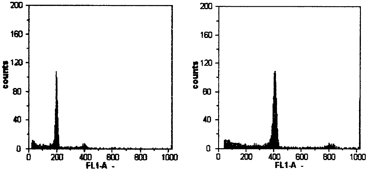 Chromosome doubling method for pepper or eggplant haploid plant