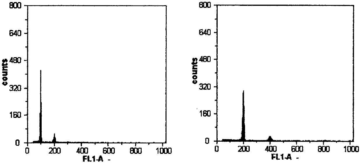 Chromosome doubling method for pepper or eggplant haploid plant