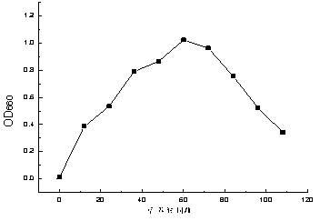 Cold-tolerant pseudomonas strain Den-05, and screening method and application thereof