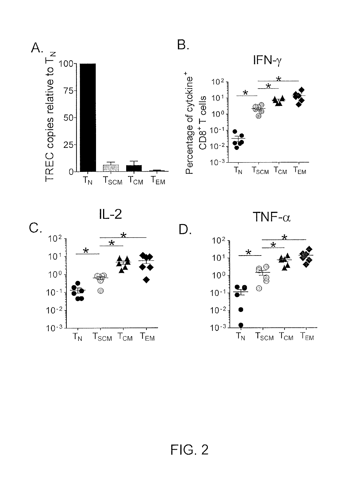 Methods of producing T memory stem cell populations