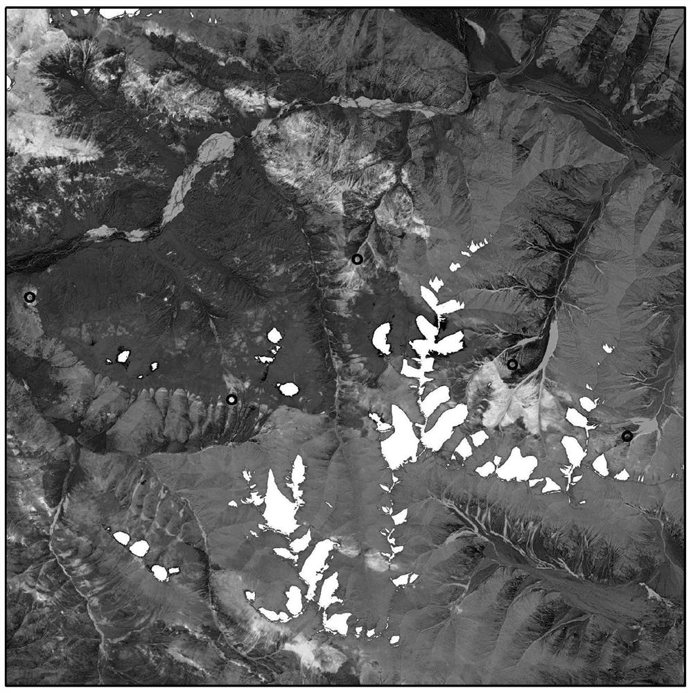 Rare metal prospecting method based on ground object hyperspectral remote sensing mineral combination zoning