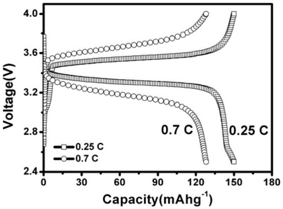 All-solid-state battery of skeleton supported alloy anode and preparation method thereof