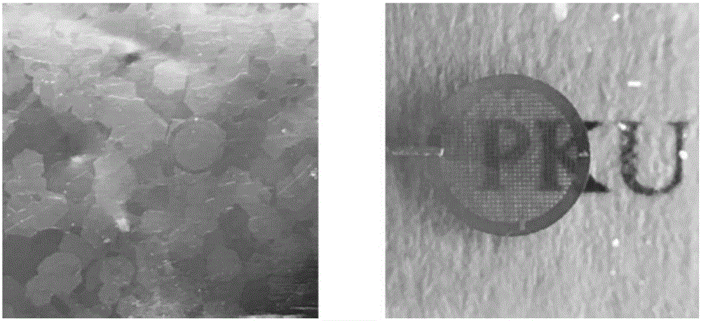 Method used for realizing high-efficiency liquid packaging using graphene monocrystal support membrane grid