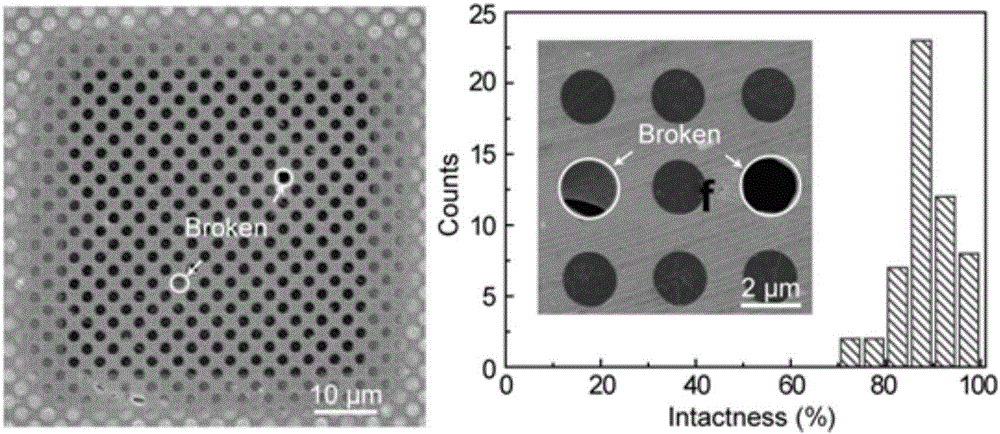 Method used for realizing high-efficiency liquid packaging using graphene monocrystal support membrane grid