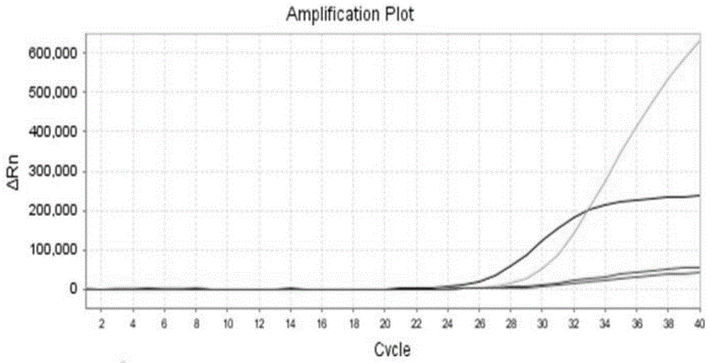 Primers, probes and kit for detecting gene mutation caused by G6PD deficiency disease